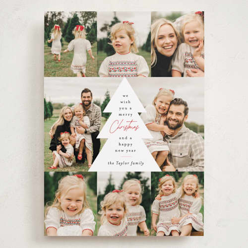 This is a holly berry holiday photo cards with standard by Alethea and Ruth called multi tree center printing on recycled smooth signature in grand