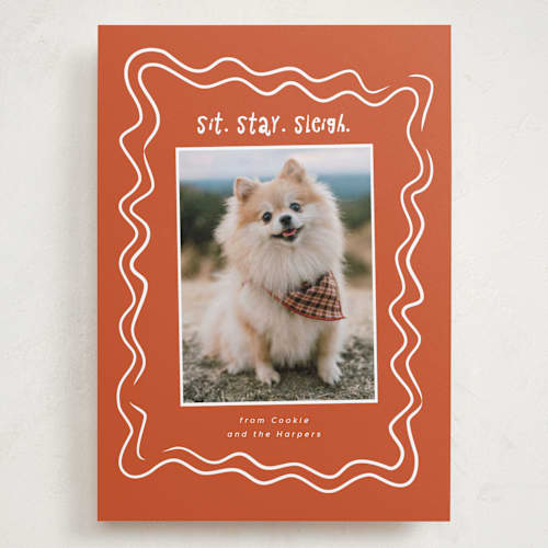 This is a holly holiday photo cards with standard by Vera Lim called wiggly lines printing on recycled smooth signature in grand