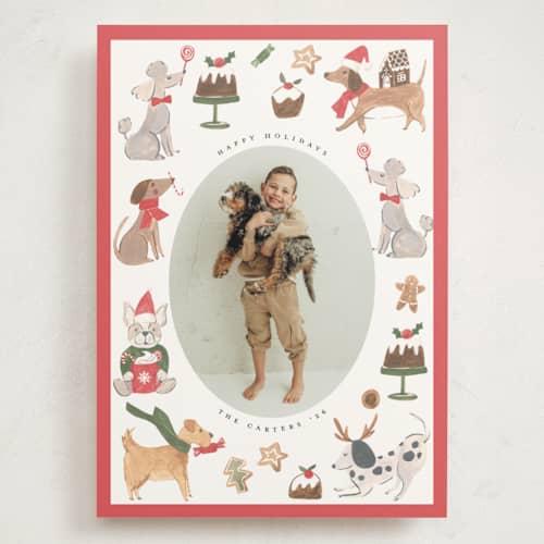 This is a berry holiday photo cards with standard by Teju Reval called festive dogs printing on signature in grand
