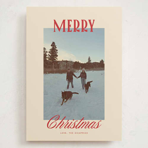 This is a stocking holiday photo cards with standard by Creo Study called modern classic printing on signature in grand