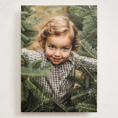 This is a midnight holiday photo cards with standard by Kate Ahn called cafe printing on signature in grand