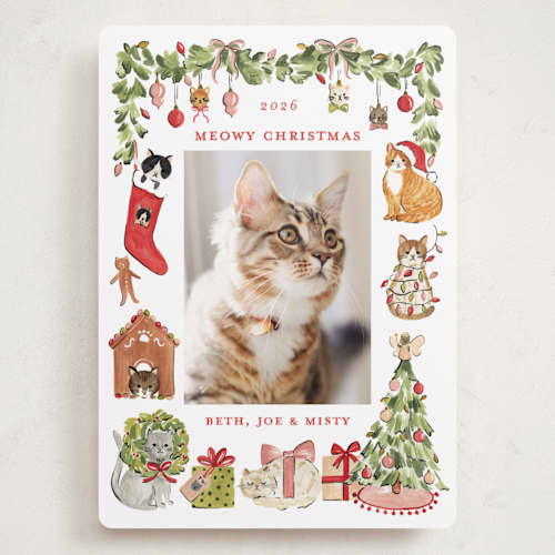 This is a pine holiday photo cards with standard by Sarah Knight called meowy christmas printing on recycled smooth signature in grand
