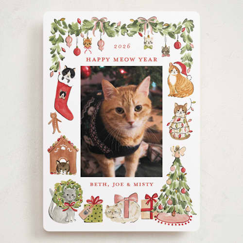 This is a pine holiday photo cards with standard by Sarah Knight called meowy christmas printing on recycled smooth signature in grand