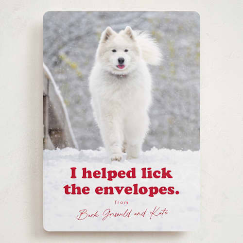This is a chewed stocking holiday photo cards with standard by Hudson meet Rose called helping printing on recycled smooth signature in grand