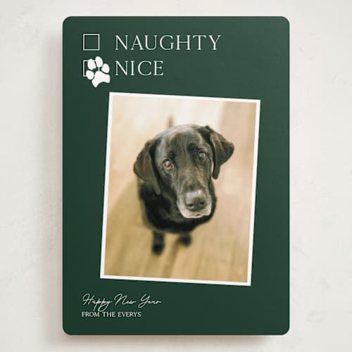 This is a forest holiday photo cards with standard by Kat Roberts called nice pup printing on recycled smooth signature in grand