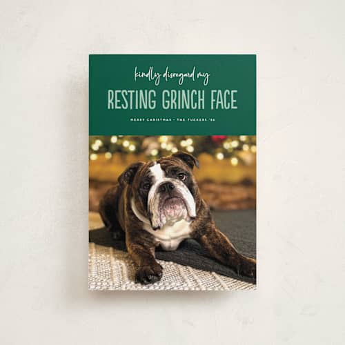 This is a noble fir petite holiday cards with standard by Erica Krystek called grinch face printing on recycled smooth signature in petite