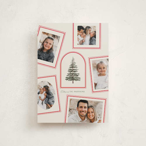 This is a buttercream petite holiday cards with standard by Baumbirdy called photo album printing on recycled smooth signature in petite