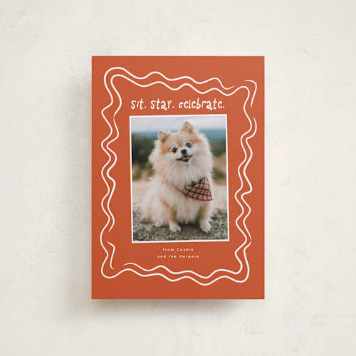 This is a holly petite holiday cards with standard by Vera Lim called wiggly lines printing on recycled smooth signature in petite
