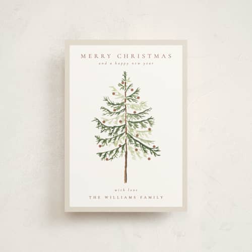 This is a snow petite holiday cards with standard by Amy Kross called vintage spruce printing on signature in petite