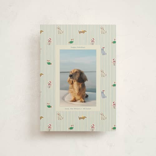 This is a frost petite holiday cards with standard by Daisyworks Studio called paws & pinstripes printing on signature in petite