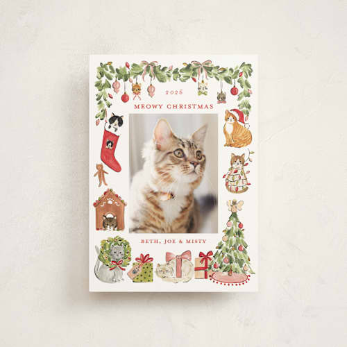 This is a pine christmas postcards with standard by Sarah Knight called meowy christmas printing on signature in postcard