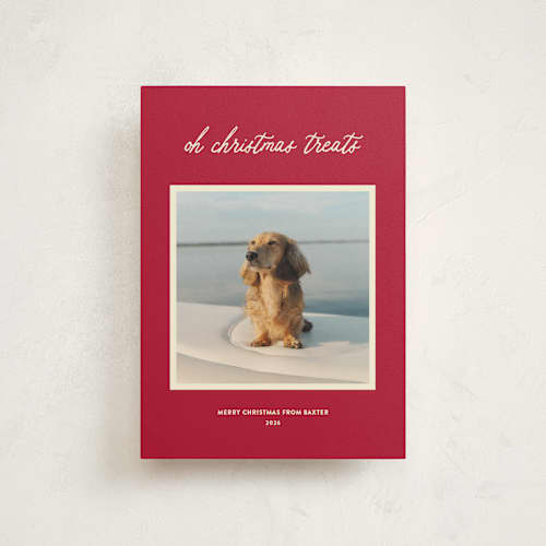 This is a red chew toy christmas postcards with standard by Sarah Hawkins Designs called christmas treats printing on signature in postcard