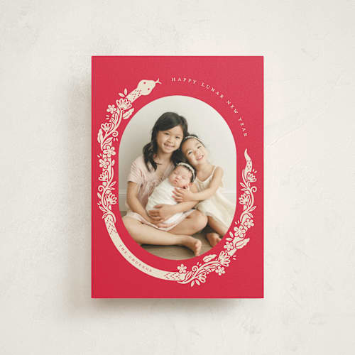 This is a wealth chinese new year cards with standard by Vivian Yiwing called snake lunar year printing on signature in postcard