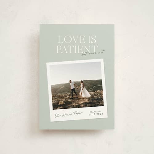 This is a olive valentine postcards with standard by Owl and Toad called patient printing on signature in postcard