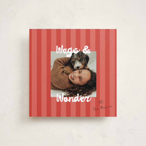 This is a cranberry holiday photo cards with standard by Christie Garcia called wags & wonder printing on recycled smooth signature in square