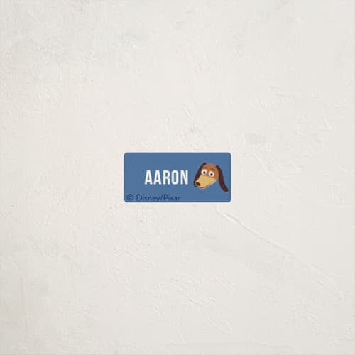 This is a sky name labels with standard by Dani Lugato called toys printing on waterproof sticker paper in sticker