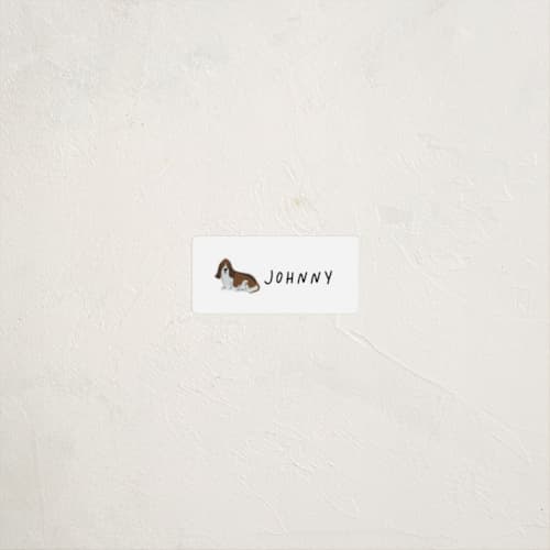 This is a tire name labels with standard by Laura Bercovich called basset hound pup printing on waterproof sticker paper in sticker