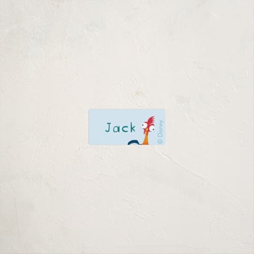 This is a ocean name labels with standard by Kristen Knechtel called disney's moana hei hei! printing on waterproof sticker paper in sticker