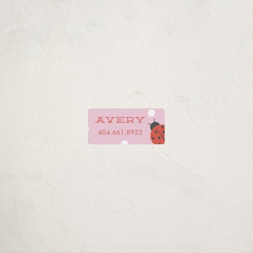 This is a bubblegum name labels with standard by Stacey Meacham called ladybug name printing on waterproof sticker paper in sticker