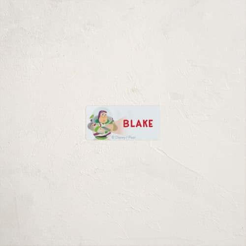 This is a pear name labels with standard by Lori Wemple called disney and pixar buzz's laser printing on waterproof sticker paper in sticker
