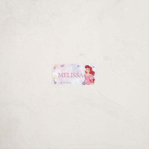 This is a cotton candy name labels with standard by Cass Loh called disney's princess portrait printing on waterproof sticker paper in sticker