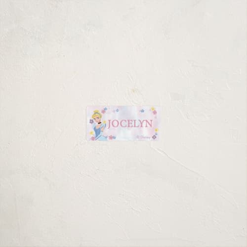 This is a cotton candy name labels with standard by Cass Loh called disney's princess portrait printing on waterproof sticker paper in sticker