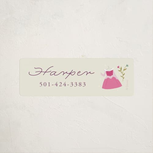 This is a ivory name labels with standard by JeAnna Casper called princess party printing on waterproof sticker paper in sticker