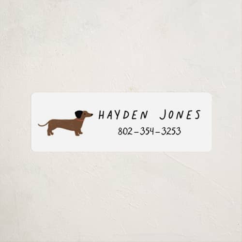 This is a tire name labels with standard by Laura Bercovich called dachshund pup printing on waterproof sticker paper in sticker