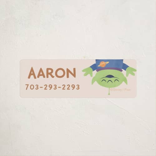 This is a taupe name labels with standard by Sabrin Deirani called toy story friends birthday invitation printing on waterproof sticker paper in sticker