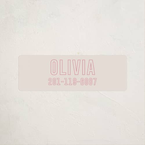 This is a flamingo name labels with standard by Ilene Guy called big name printing on waterproof sticker paper in sticker