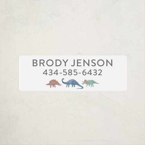 This is a lagoon name labels with standard by Joanna Griffin called dinosaur parade printing on waterproof sticker paper in sticker