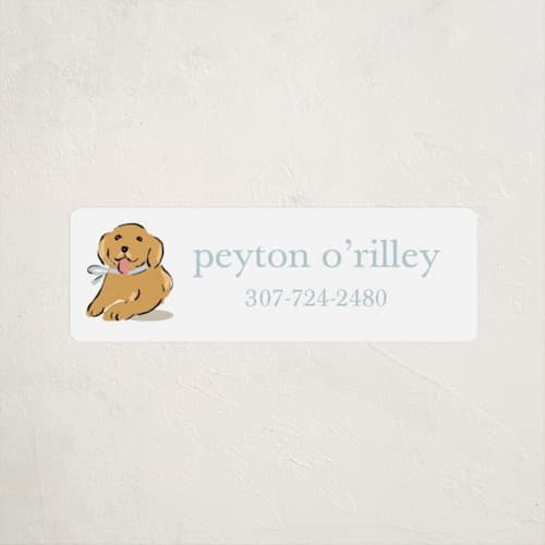 This is a bluebird name labels with standard by Susan Zinader called golden pup printing on waterproof sticker paper in sticker