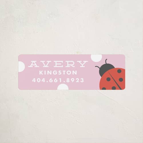 This is a bubblegum name labels with standard by Stacey Meacham called ladybug name printing on waterproof sticker paper in sticker