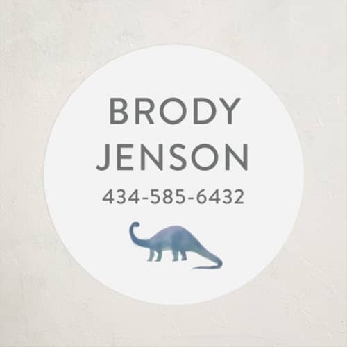 This is a lagoon name labels with standard by Joanna Griffin called dinosaur parade printing on waterproof sticker paper in sticker