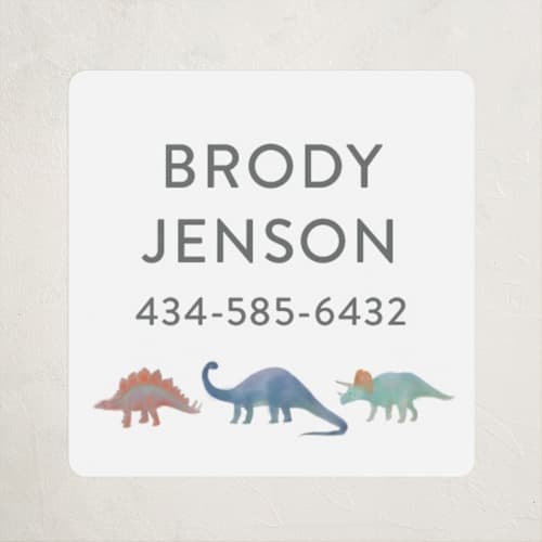 This is a lagoon name labels with standard by Joanna Griffin called dinosaur parade printing on waterproof sticker paper in sticker