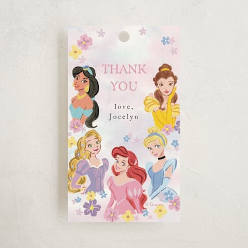 This is a cotton candy kids gift tags with standard by Cass Loh called disney's princess portrait printing on signature in tag