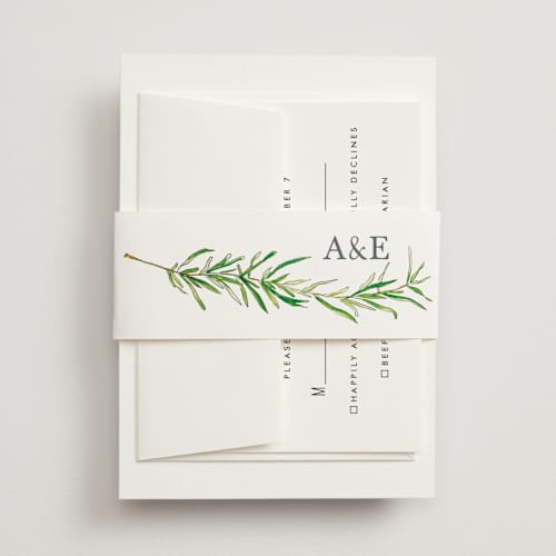 This is a fern belly bands with standard by Erin Deegan called simple sprigs printing on signature text in belly band