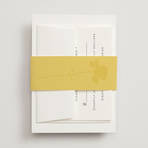 This is a island citrus belly bands with standard by Morgan Kendall called bloom printing on signature text in belly band