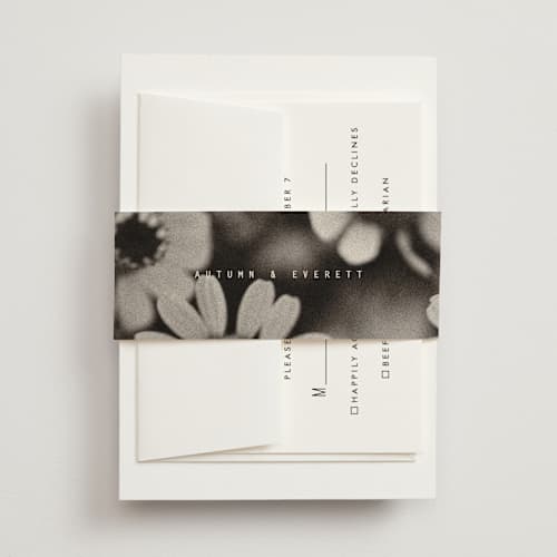 This is a vanilla belly bands with standard by Blustery August called nonnette printing on signature text in belly band