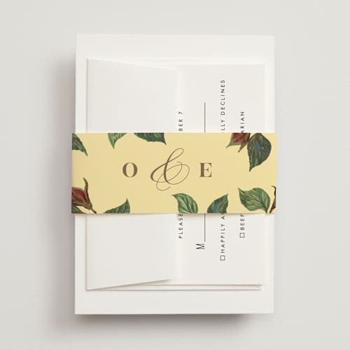 This is a mimosa belly bands with standard by Leah Bisch called enchanted rose from disney's beauty & the beast printing on signature text in belly band