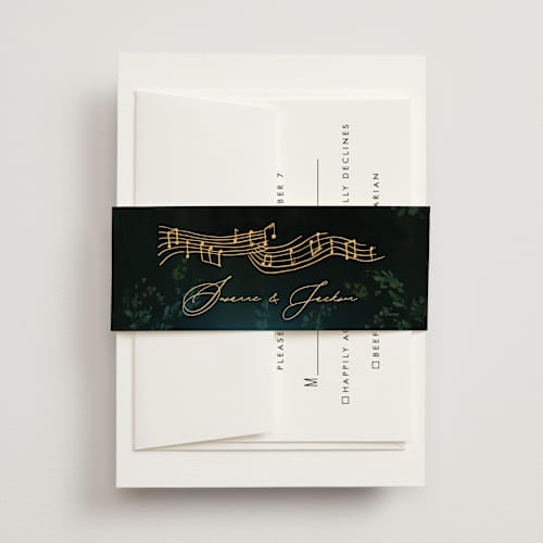 This is a mystic belly bands with standard by Phrosné Barwood called new orleans from disney's princess and the frog printing on signature text in belly band