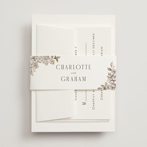 This is a sepia belly bands with standard by Itsy Belle Studio called daphne printing on signature text in belly band