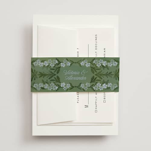 This is a wisteria belly bands with standard by Jenna Holcomb called vintage sketched printing on signature text in belly band