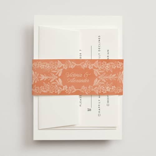 This is a persimmon belly bands with standard by Jenna Holcomb called vintage sketched printing on signature text in belly band