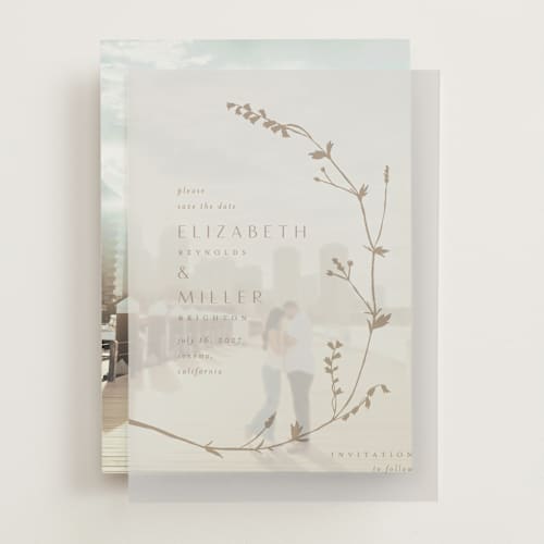This is a cotton vellum overlays with standard by Amy Kross called vine wrap printing on translucent vellum in overlay