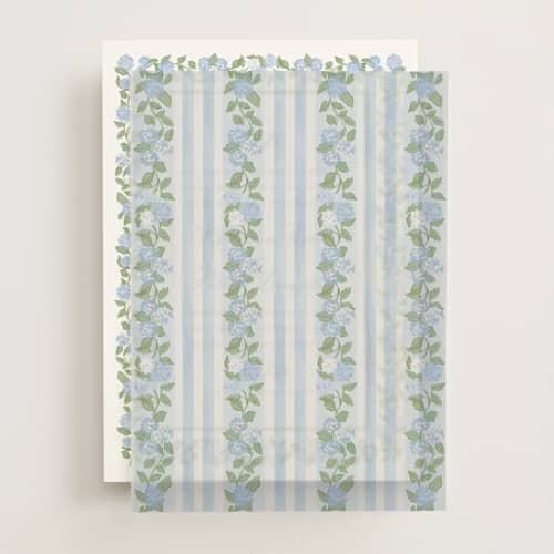 This is a ocean vellum overlays with standard by Creo Study called pillowy border printing on translucent vellum in overlay
