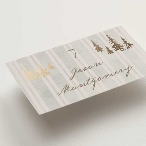 This is a dew wedding place cards with foil pressed by Petra Kern called mountain love printing on signature in placecard