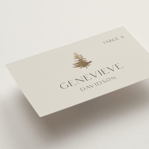 This is a fallen snow wedding place cards with foil pressed by Robin Ott called vista printing on signature in placecard