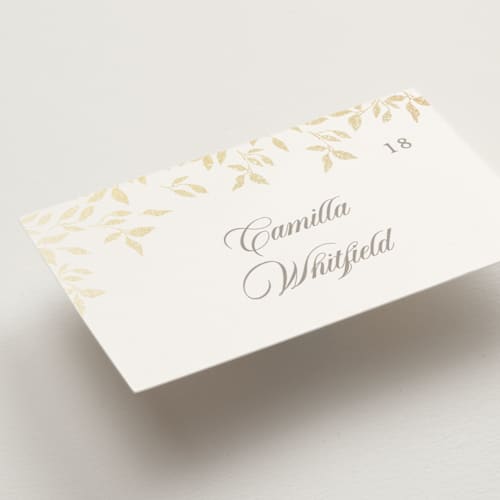 This is a chiffon wedding place cards with foil pressed by Kristie Kern called aperol printing on signature in placecard