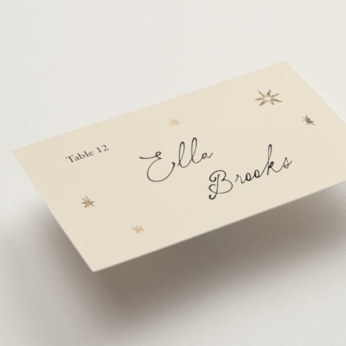 This is a noir wedding place cards with foil pressed by Ani Somi called written in the stars printing on signature in placecard